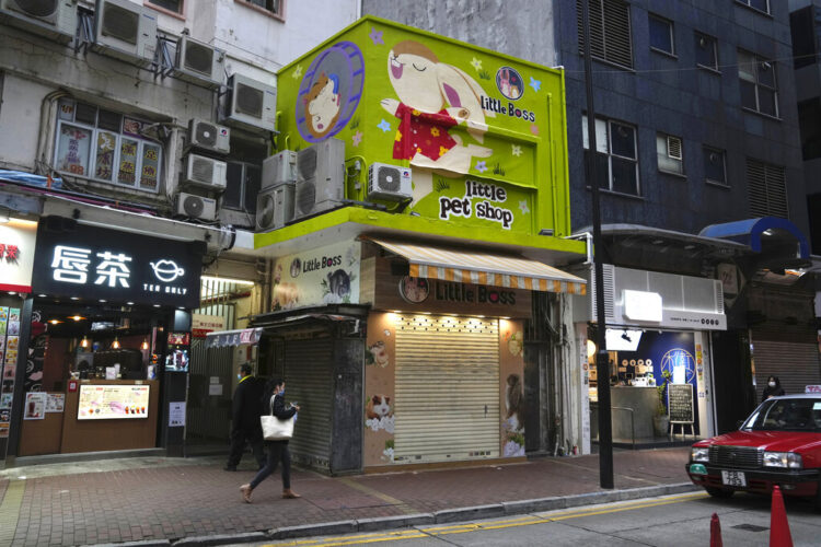 Tue. 8:31 a.m.: Hong Kong to kill 2,000 animals after hamsters get COVID-19